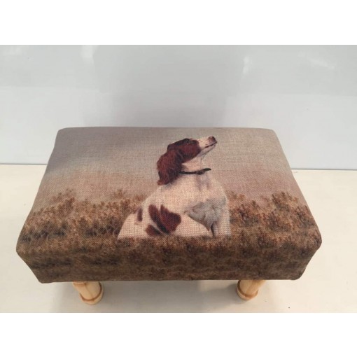 DOG FOOTSTOOL 40CMX25CMX25CM